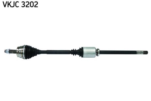 SKF-VKJC3202.jpg