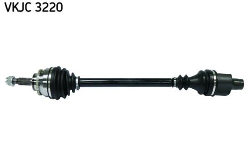 SKF-VKJC3220.jpg