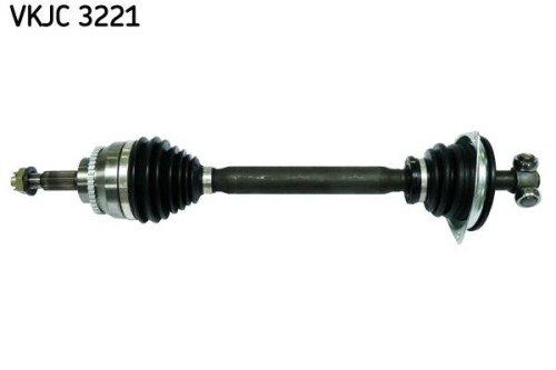 SKF-VKJC3221.jpg