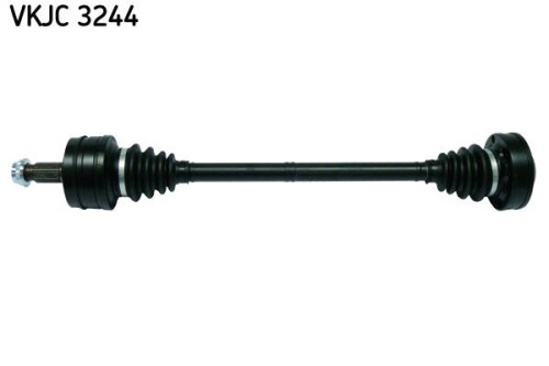 SKF-VKJC3244.jpg