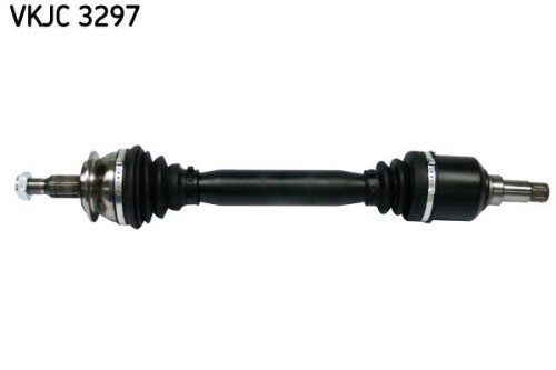 SKF-VKJC3297.jpg
