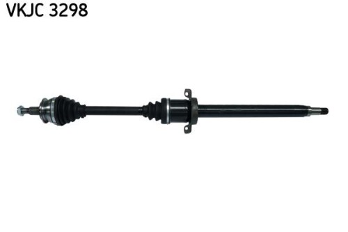 SKF-VKJC3298.jpg