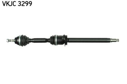 SKF-VKJC3299.jpg