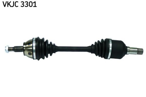 SKF-VKJC3301.jpg