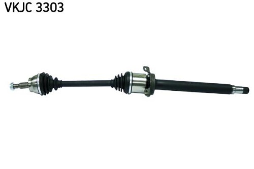 SKF-VKJC3303.jpg