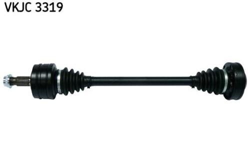 SKF-VKJC3319.jpg