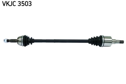 SKF-VKJC3503.jpg