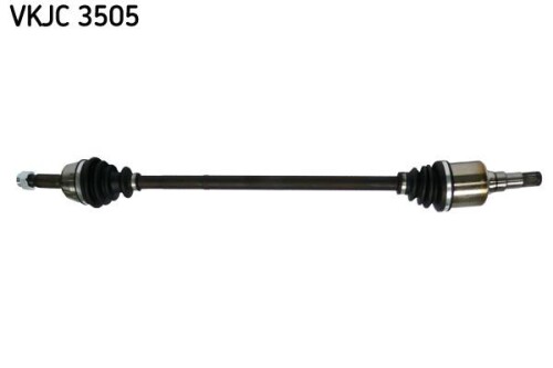 SKF-VKJC3505.jpg