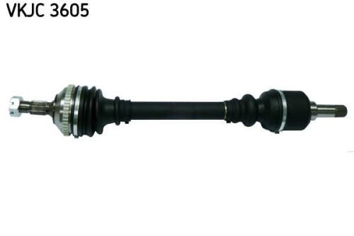 SKF-VKJC3605.jpg