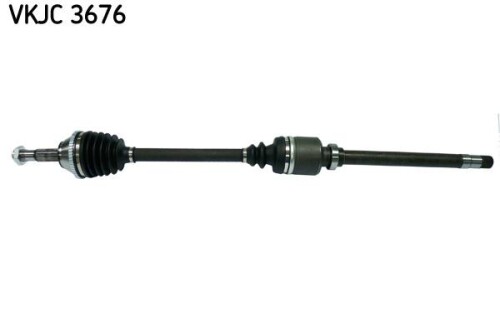 SKF-VKJC3676.jpg