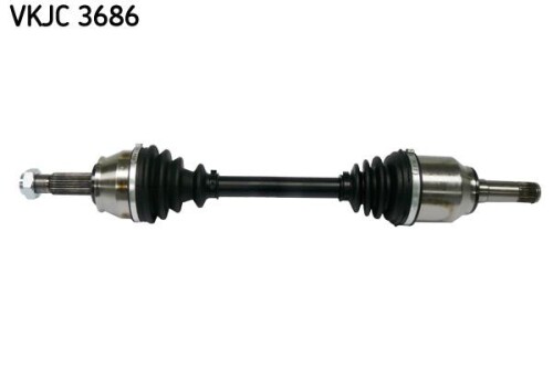 SKF-VKJC3686.jpg