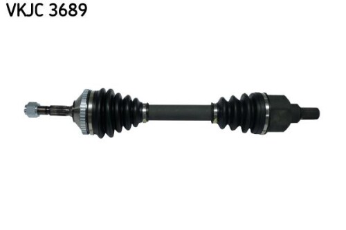 SKF-VKJC3689.jpg