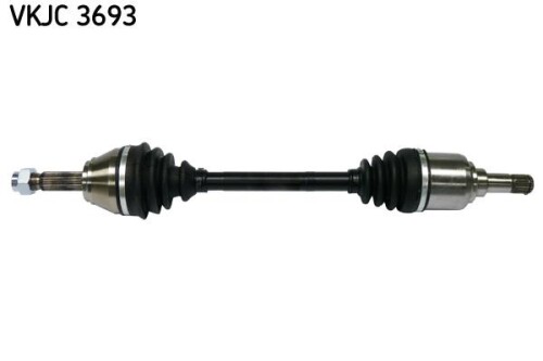 SKF-VKJC3693.jpg