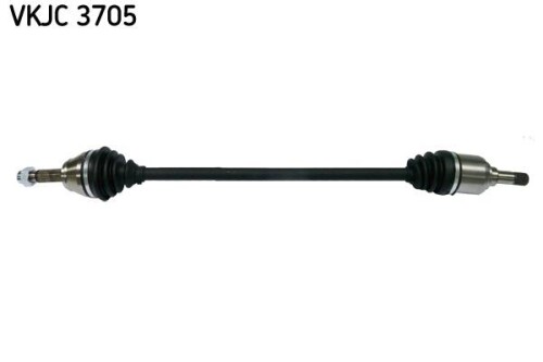 SKF-VKJC3705.jpg