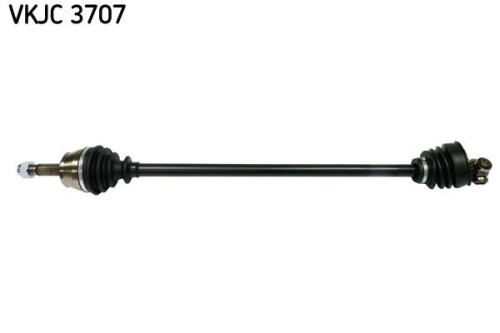 SKF-VKJC3707.jpg