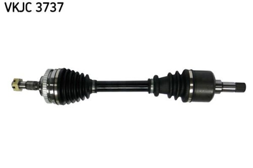 SKF-VKJC3737.jpg