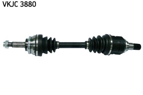 SKF-VKJC3880.jpg