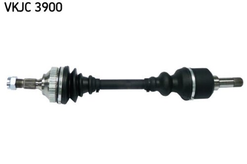 SKF-VKJC3900.jpg