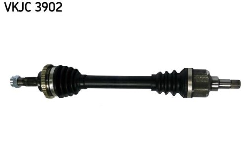 SKF-VKJC3902.jpg