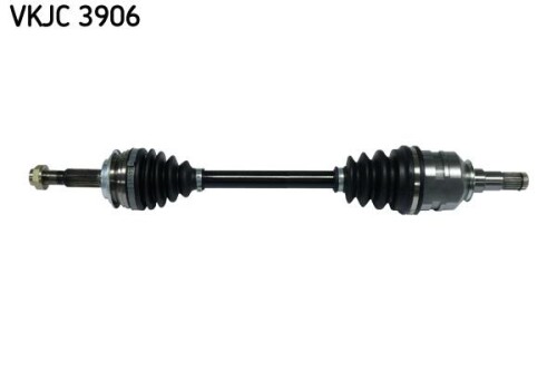 SKF-VKJC3906.jpg