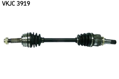 SKF-VKJC3919.jpg