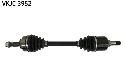 SKF-VKJC3952.jpg