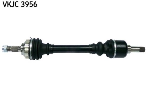 SKF-VKJC3956.jpg