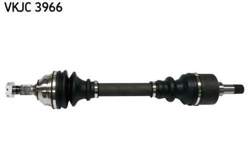 SKF-VKJC3966.jpg