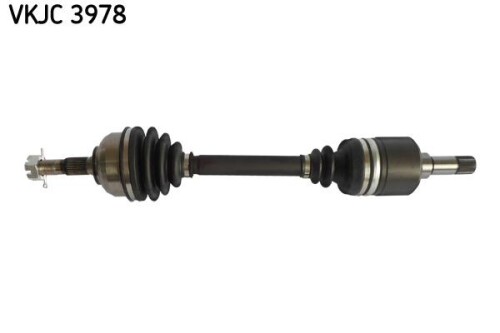 SKF-VKJC3978.jpg