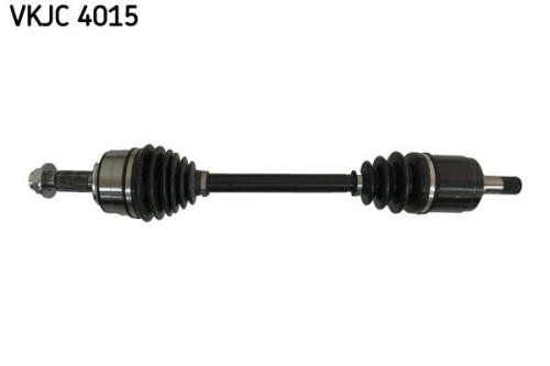 SKF-VKJC4015.jpg