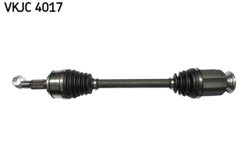 SKF-VKJC4017.jpg