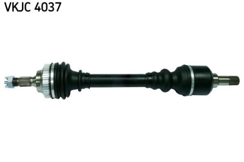 SKF-VKJC4037.jpg