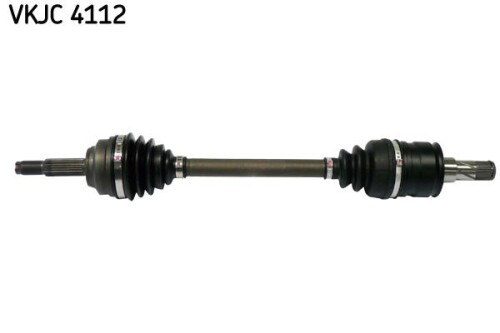 SKF-VKJC4112.jpg