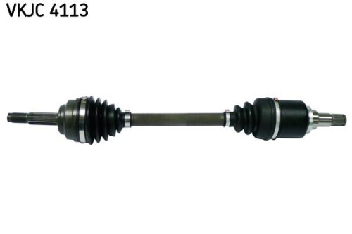 SKF-VKJC4113.jpg