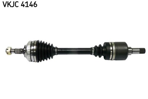 SKF-VKJC4146.jpg