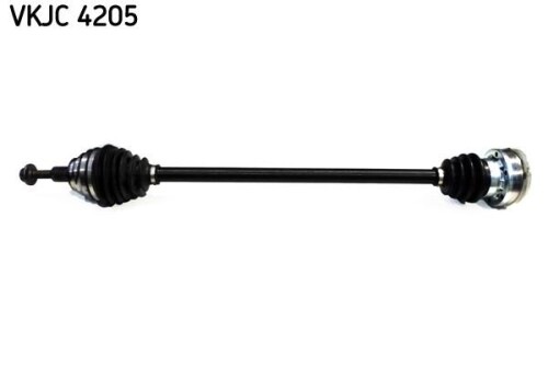 SKF-VKJC4205.jpg