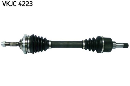 SKF-VKJC4223.jpg