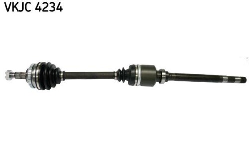 SKF-VKJC4234.jpg