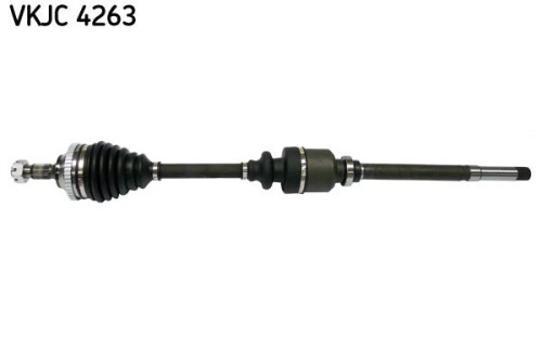 SKF-VKJC4263.jpg