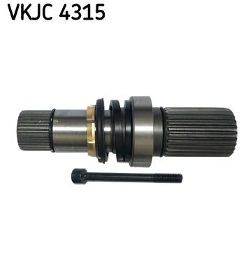 SKF-VKJC4315.jpg