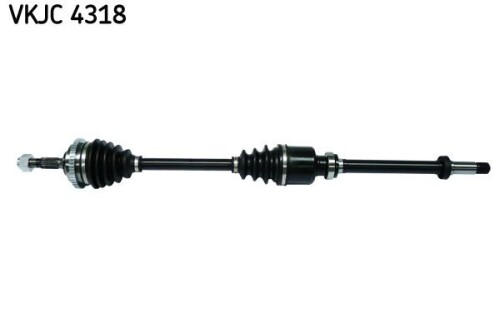 SKF-VKJC4318.jpg