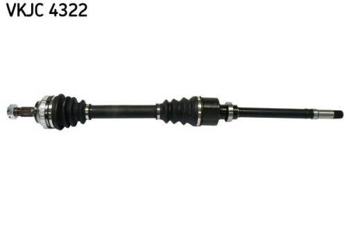 SKF-VKJC4322.jpg