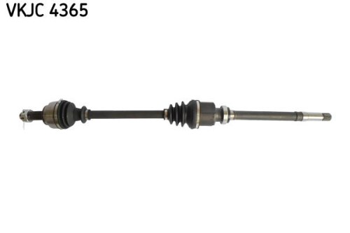 SKF-VKJC4365.jpg