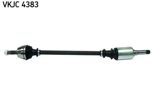 SKF-VKJC4383.jpg