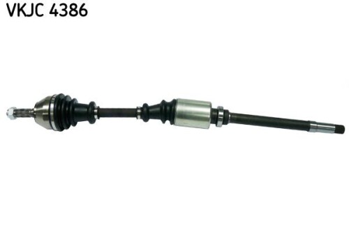 SKF-VKJC4386.jpg