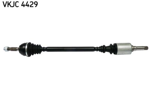 SKF-VKJC4429.jpg