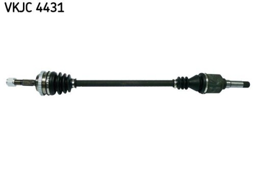 SKF-VKJC4431.jpg