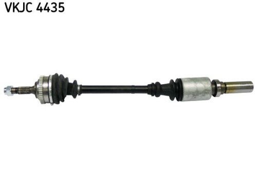 SKF-VKJC4435.jpg