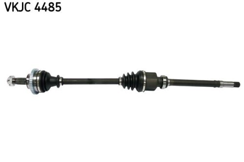 SKF-VKJC4485.jpg
