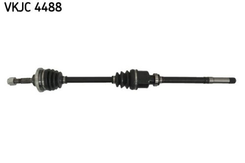 SKF-VKJC4488.jpg